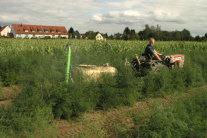 Der Landwirt bringt Pflanzenschutzmittel aus