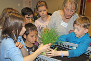 Kinder und Betreuerin stehen um Pflanzkiste, ein Kind hält Schnittlauchpflanze