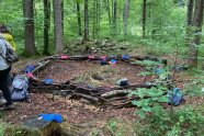 Ein großer Kobel aus Ästen im Wald