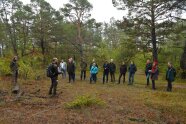 Menschengruppe im Wald