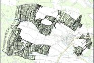 Reyersbach: Flurkarte mit kleinteiligen Flächen vor der Neuordnung