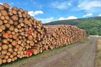 Holzpolter am Wegrand