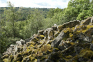 Blick ins Umland der Rhön, im Vordergrund Felsformation von Wald umrandet