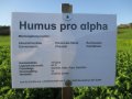 Humus pro alpha