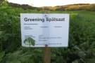 Greening Spätsaat