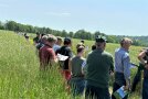 interessierte Besucher stehen im Getreidefeld