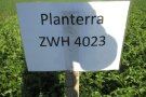 Planterra4023