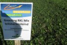 Greening RKLMixx