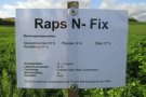 KWS Raps N-Fix