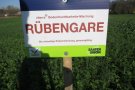 Rübengare