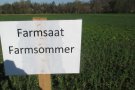 Farmsommer