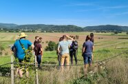 Tröpfchenbewässerung an einer neuen Anlage 