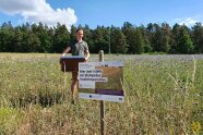 Lorenz Ofenhitzer mit Ableger-Beute für  Bienen in Blühfläche