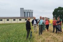 Personen stehen am Feldrand