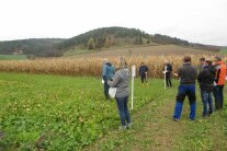 Interessierte Landwirte schauen sich die unterschiedlichen Zwischenfruchtmischungen an