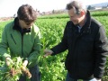 Berater und Landwirt