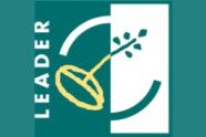 Leader Logo